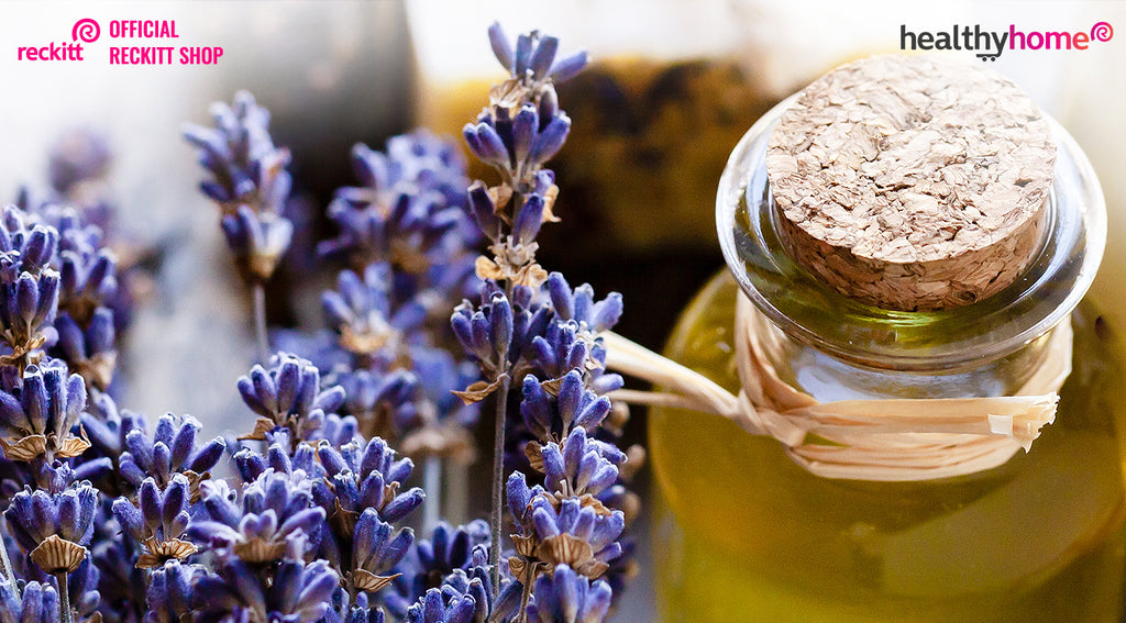 8 Tips to Eliminate Smoke Odour from your Home