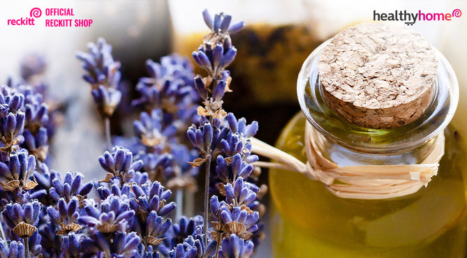 8 Tips to Eliminate Smoke Odour from your Home