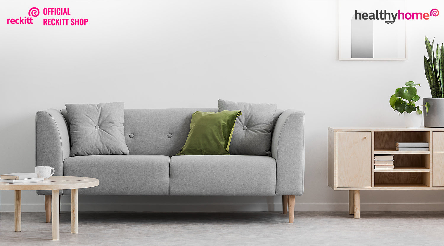 Living room furniture and decor