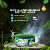 Airwick Air Freshener Gel can, Fresh waters, 70gm