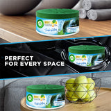 Airwick Air Freshener Gel can, Fresh waters, 70gm
