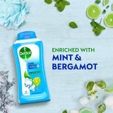 Dettol Body Wash and Shower Gel, Cool, 250ml