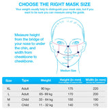 Dettol N95 Mask Black, Medium