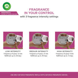 Airwick Freshmatic Refill Life Scents (Summer Delights), 250 ml