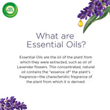 what are essential oils | Healthyhome
